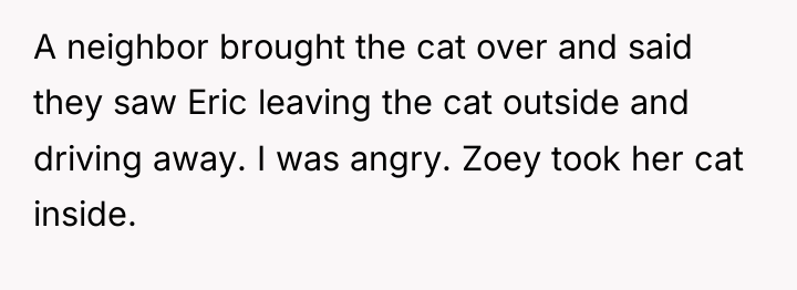 A neighbor brought the cat over and said they saw...