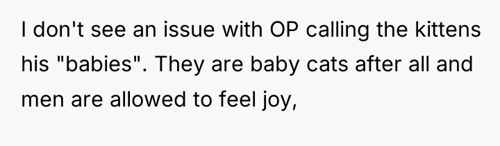 I don't see an issue with OP calling the kittens...