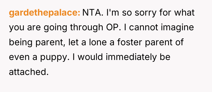 gardethepalace NTA. I'm so sorry for what you are going...