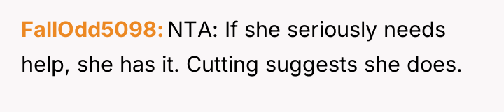 FallOdd5098 NTA: If she seriously needs help, she has it....