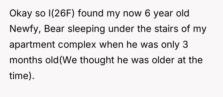 Okay so I(26F) found my now 6 year old Newfy,...