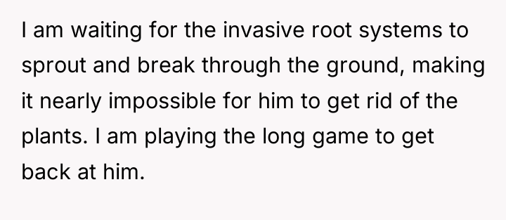 I am waiting for the invasive root systems to sprout...