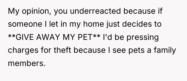 My opinion, you underreacted because if someone I let in...
