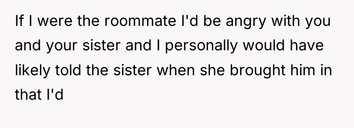 If I were the roommate I'd be angry with you...