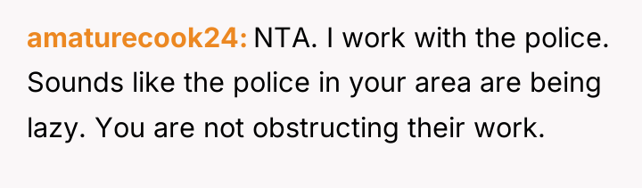 amaturecook24 NTA. I work with the police. Sounds like the...
