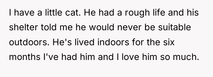 I have a little cat. He had a rough life...