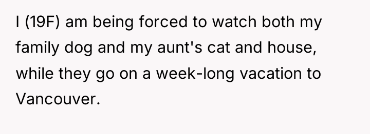 I (19F) am being forced to watch both my family...
