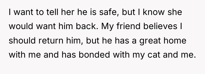 I want to tell her he is safe, but I...