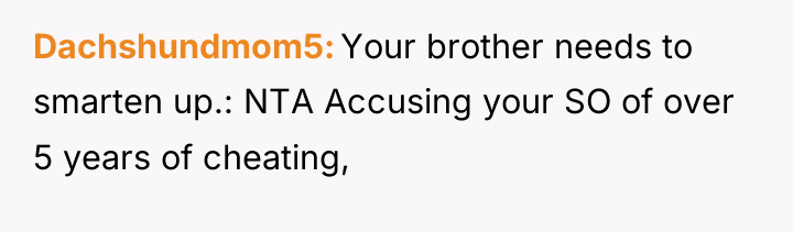 Dachshundmom5 Your brother needs to smarten up.: NTA Accusing your...