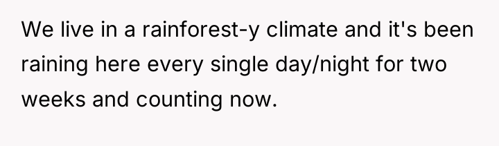 We live in a rainforest-y climate and it's been raining...