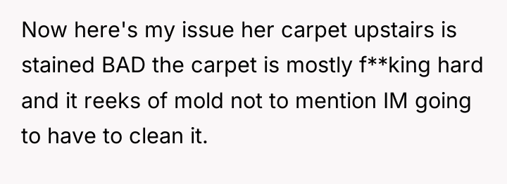 Now here's my issue her carpet upstairs is stained BAD...