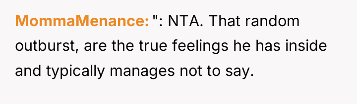 MommaMenance ": NTA. That random outburst, are the true feelings...