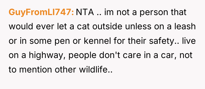GuyFromLI747 NTA .. im not a person that would ever...