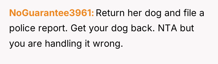 NoGuarantee3961 Return her dog and file a police report. Get...