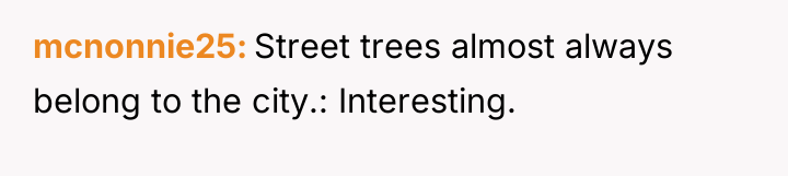 mcnonnie25 Street trees almost always belong to the city.: Interesting.
