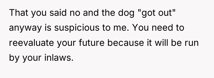 That you said no and the dog "got out" anyway...