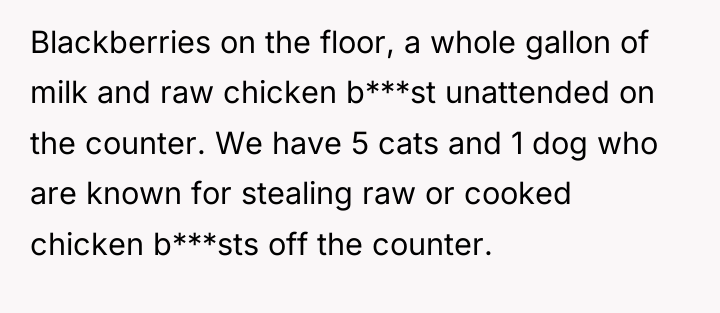 Blackberries on the floor, a whole gallon of milk and...
