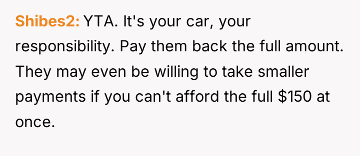 Shibes2 YTA. It's your car, your responsibility. Pay them back...