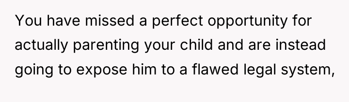 You have missed a perfect opportunity for actually parenting your...