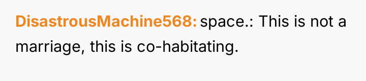 DisastrousMachine568 space.: This is not a marriage, this is co-habitating.