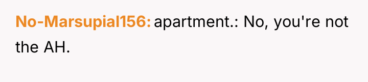 No-Marsupial156 apartment.: No, you're not the AH.