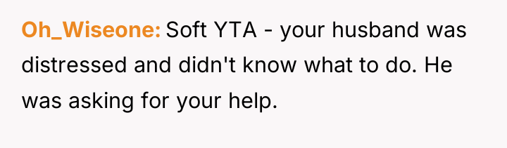 Oh_Wiseone Soft YTA - your husband was distressed and didn't...