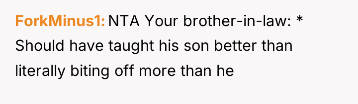 ForkMinus1 NTA Your brother-in-law: * Should have taught his son...