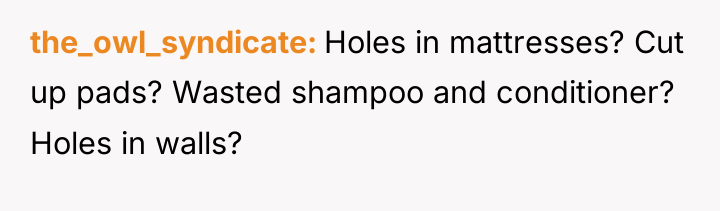 the_owl_syndicate Holes in mattresses? Cut up pads? Wasted shampoo and...