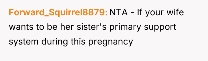 Forward_Squirrel8879 NTA - If your wife wants to be her...