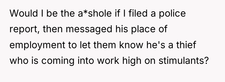 Would I be the a*shole if I filed a police...