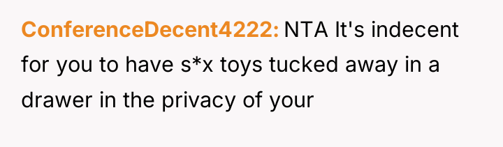 ConferenceDecent4222 NTA It's indecent for you to have s*x toys...