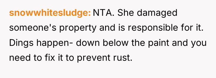 snowwhitesludge NTA. She damaged someone's property and is responsible for...