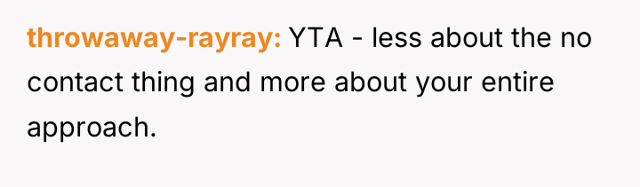 throwaway-rayray YTA - less about the no contact thing and...
