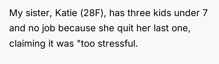 My sister, Katie (28F), has three kids under 7 and...