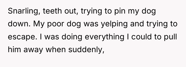 Snarling, teeth out, trying to pin my dog down. My...