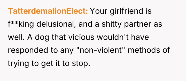TatterdemalionElect Your girlfriend is f**king delusional, and a shitty partner...