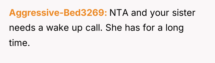 Aggressive-Bed3269 NTA and your sister needs a wake up call....