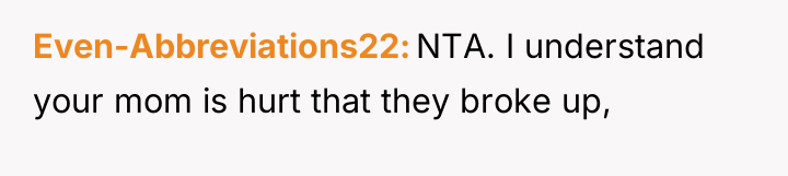 Even-Abbreviations22 NTA. I understand your mom is hurt that they...