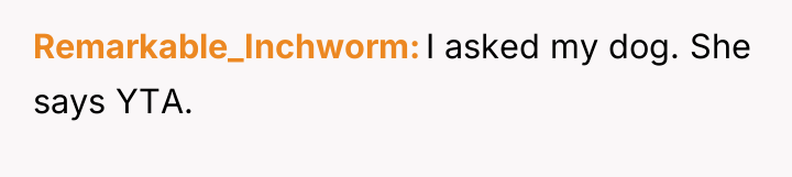 Remarkable_Inchworm I asked my dog. She says YTA.