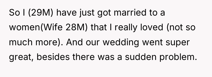 So I (29M) have just got married to a women(Wife...
