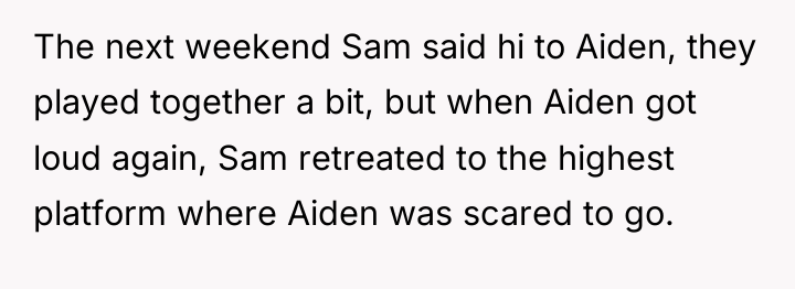 The next weekend Sam said hi to Aiden, they played...