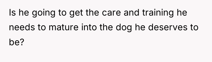 Is he going to get the care and training he...