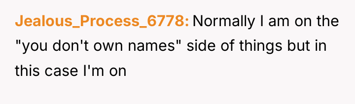 Jealous_Process_6778 Normally I am on the "you don't own names"...