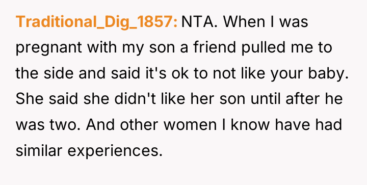 Traditional_Dig_1857 NTA. When I was pregnant with my son a...