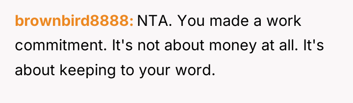 brownbird8888 NTA. You made a work commitment. It's not about...