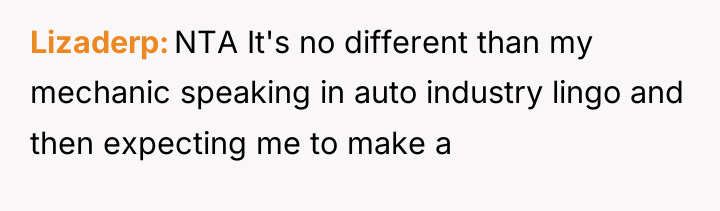 Lizaderp NTA It's no different than my mechanic speaking in...