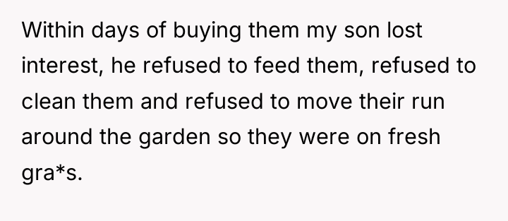 Within days of buying them my son lost interest, he...