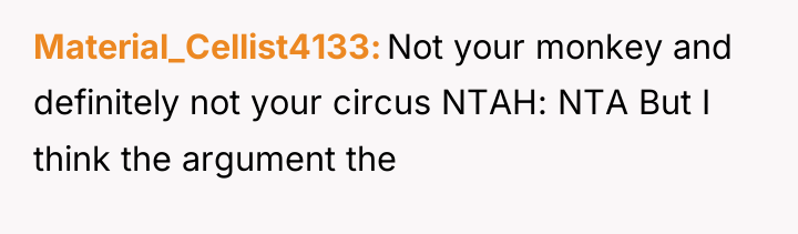 Material_Cellist4133 Not your monkey and definitely not your circus NTAH:...