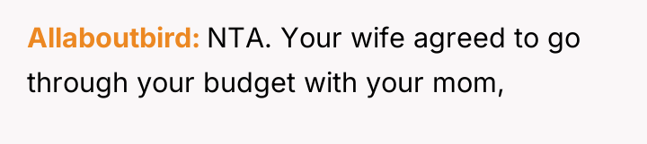 Allaboutbird NTA. Your wife agreed to go through your budget...