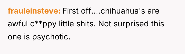 frauleinsteve First off....chihuahua's are awful c**ppy little shits. Not surprised...